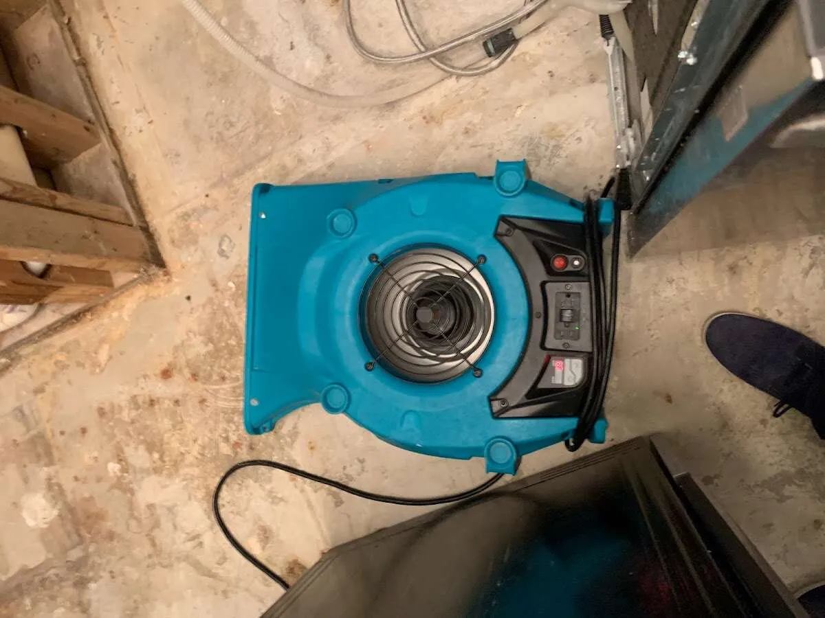 Air mover drying equipment for Mold Remediation & Removal in Moore